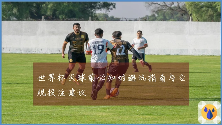 世界杯买球前必知的避坑指南与合规投注建议