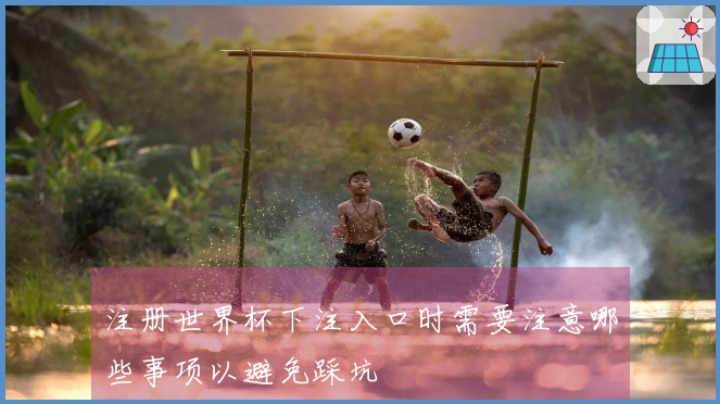 注册世界杯下注入口时需要注意哪些事项以避免踩坑